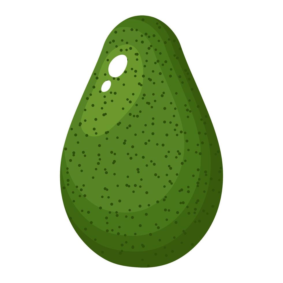 verse hele avocado met blad geïsoleerd op een witte achtergrond. zomerfruit voor een gezonde levensstijl. biologisch fruit. cartoon-stijl. vectorillustratie voor elk ontwerp. vector