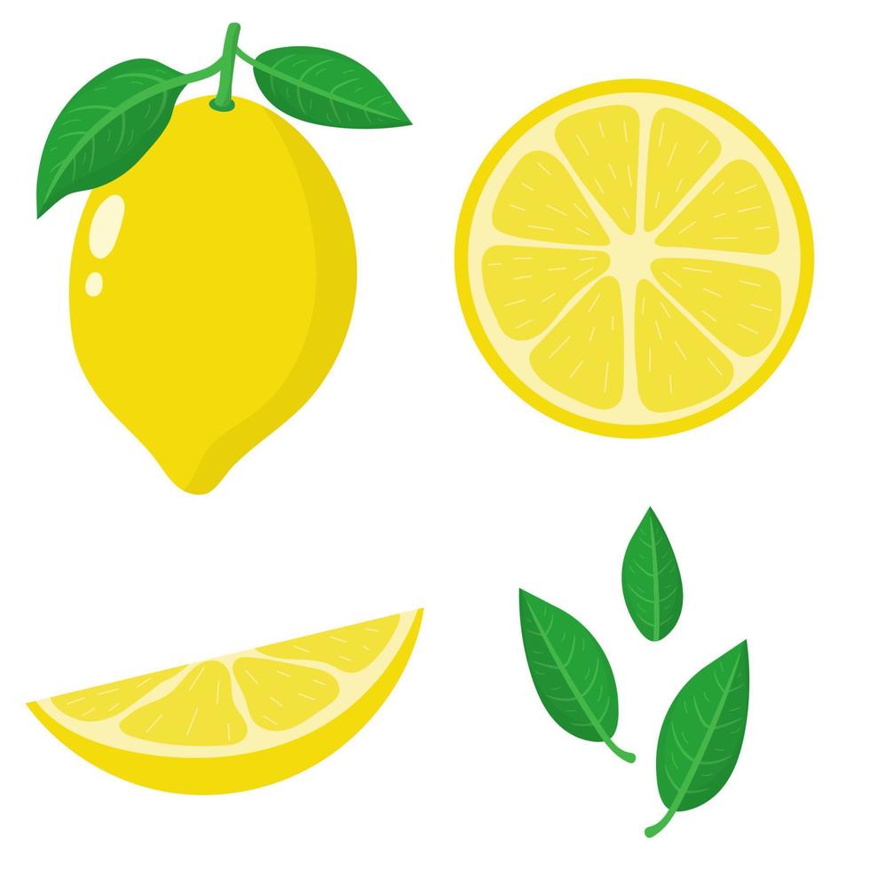 set van vers geheel, half, gesneden segment en laat citroen fruit geïsoleerd op een witte achtergrond. zomerfruit voor een gezonde levensstijl. biologisch fruit. cartoon-stijl. vectorillustratie voor elk ontwerp. vector