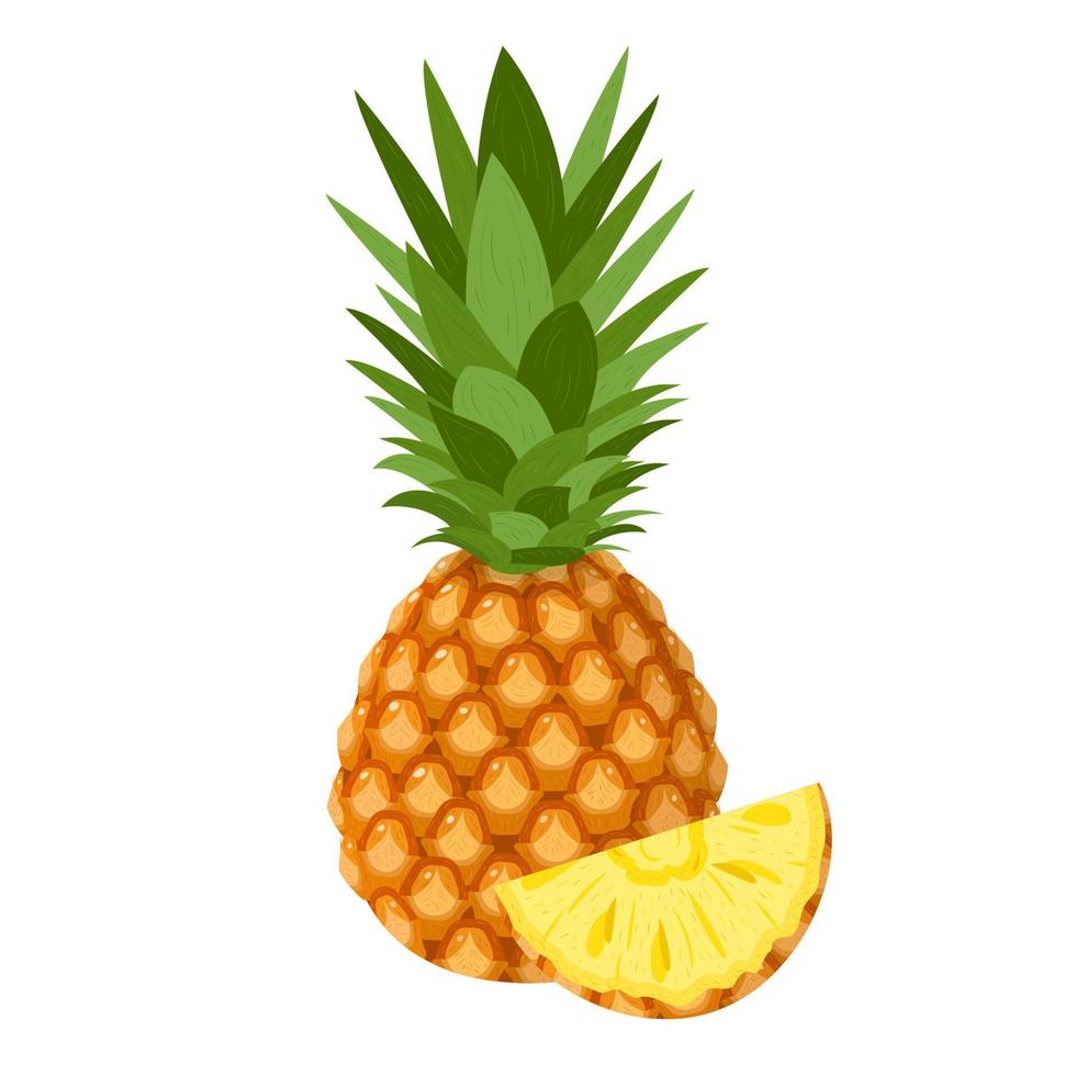 vers geheel en gesneden segment ananas fruit geïsoleerd op een witte achtergrond. zomerfruit voor een gezonde levensstijl. biologisch fruit. cartoon-stijl. vectorillustratie voor elk ontwerp. vector