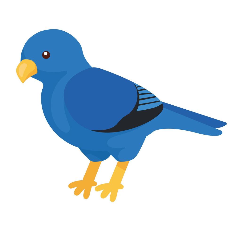 blauwe vogel dier kruiden vector