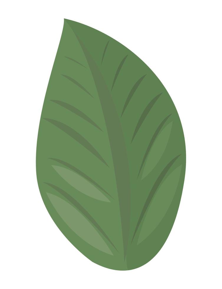 blad plant natuur vector