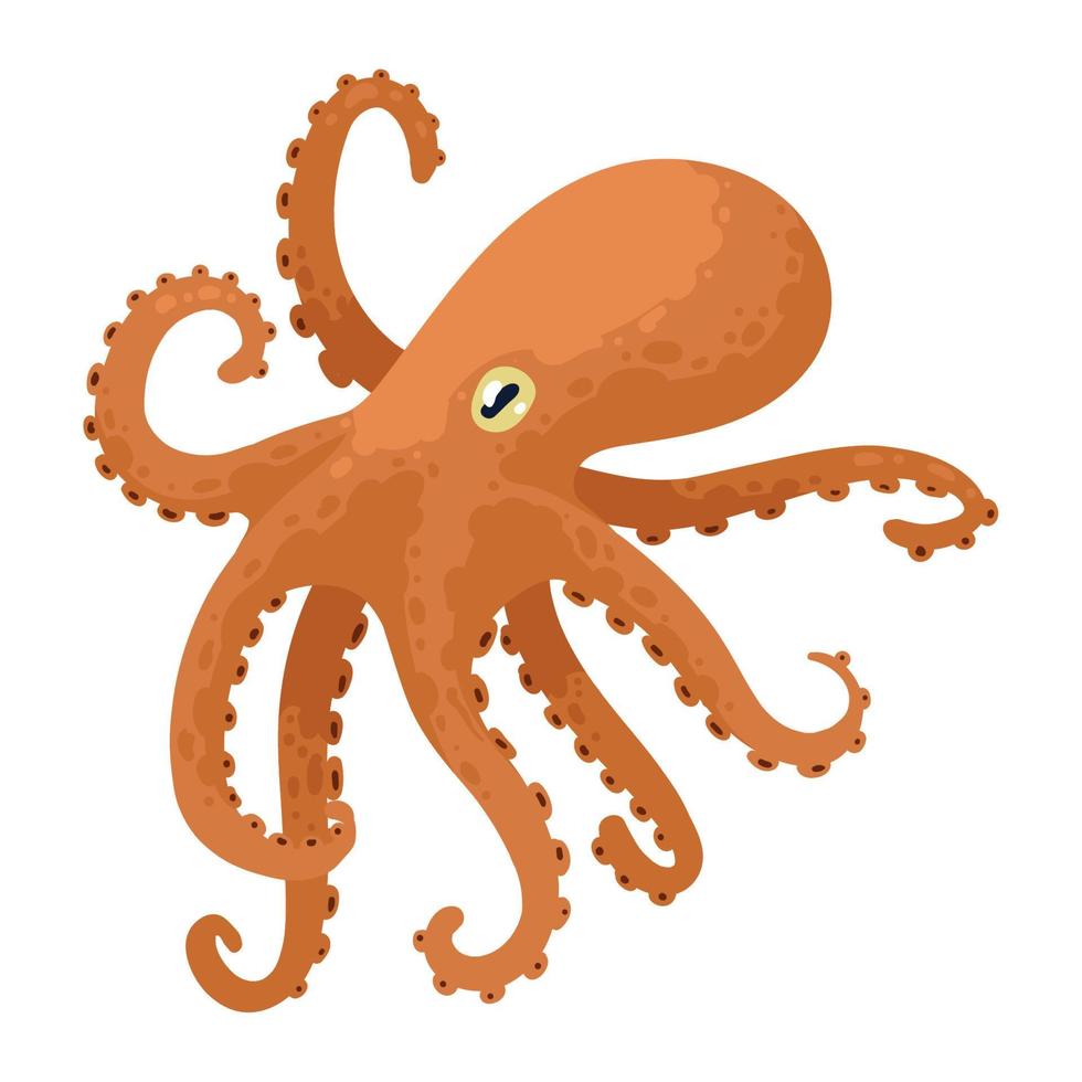 octopus zeeleven dier vector