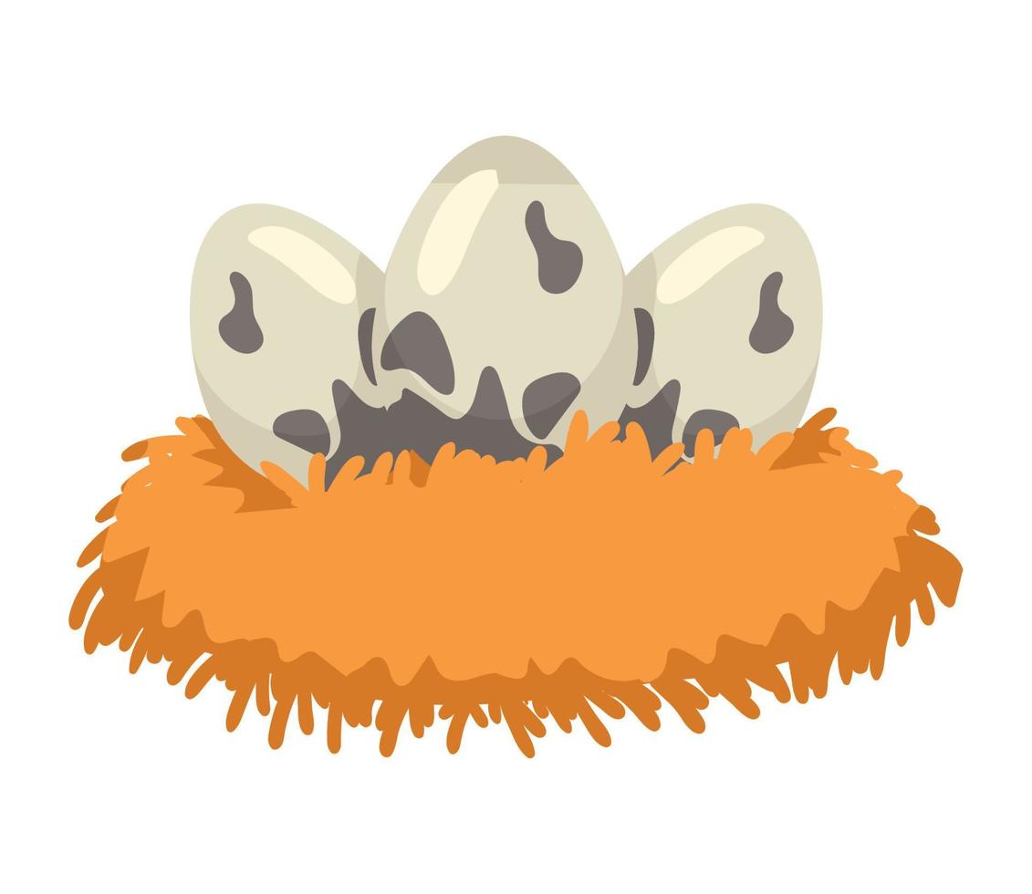 vogeleieren in nest vector