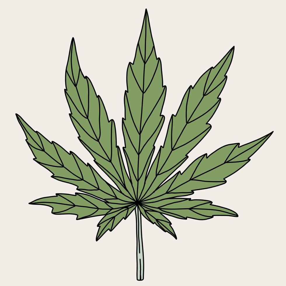 eenvoud cannabisblad uit de vrije hand tekenen. vector