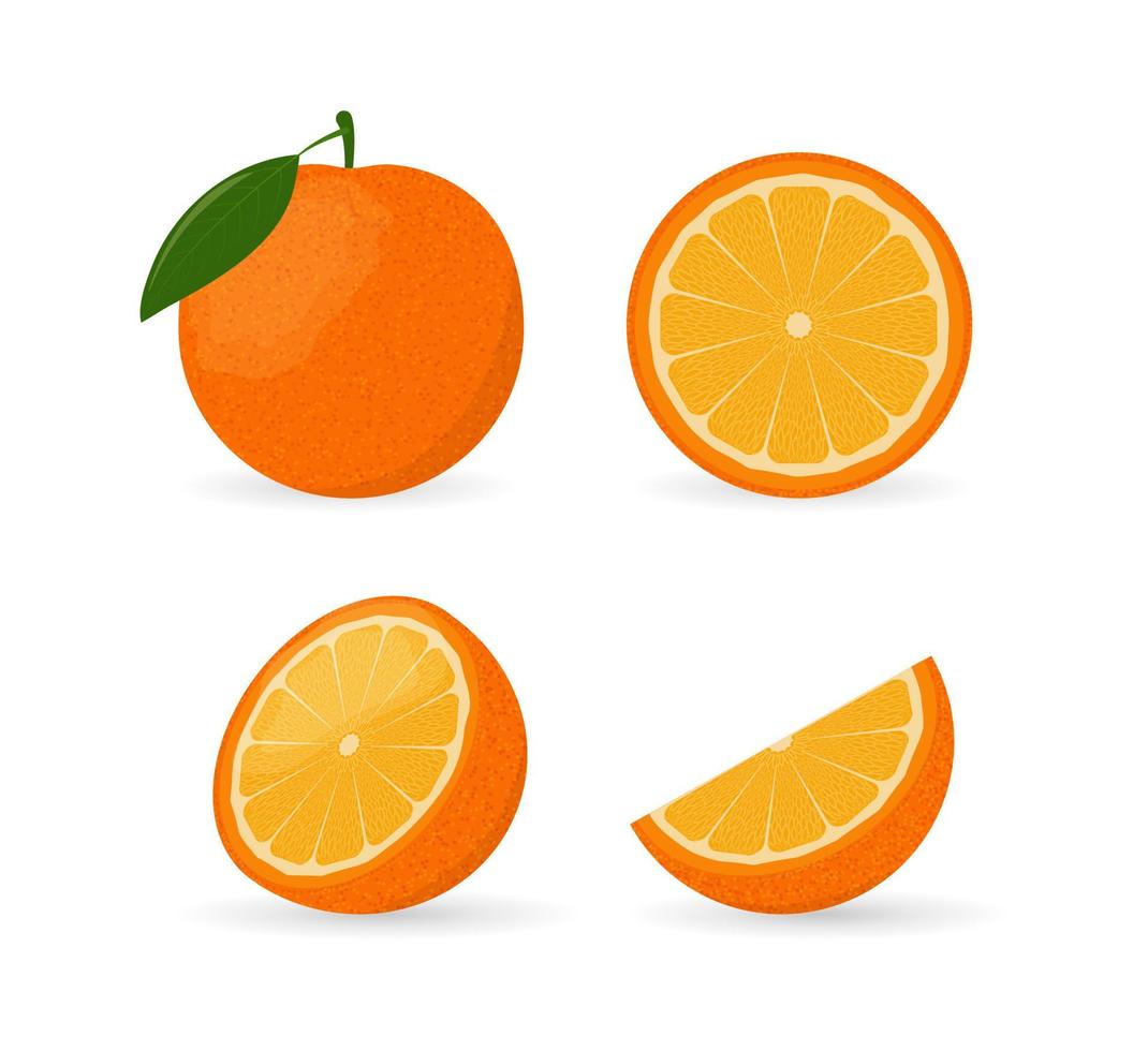 oranje fruit hele, halve, wig en plak set vector