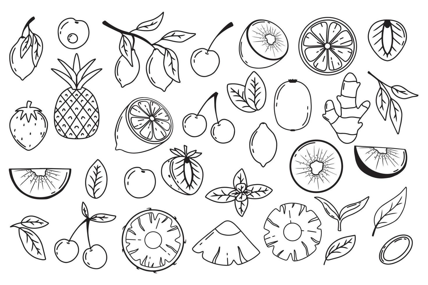 set van fruit en bessen. doodle stijl. citroen. ananas, kiwi. kersenaardbei in krabbelstijl. hele vruchten. fruit pieces.vector afbeelding. vector