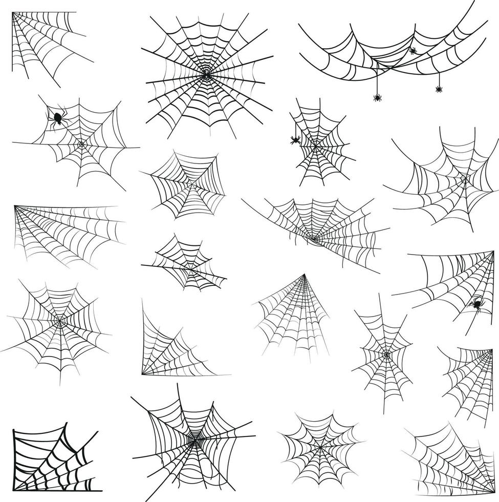 spinnenweb set vector