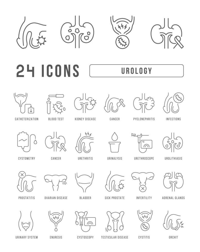 set van lineaire iconen van urologie vector