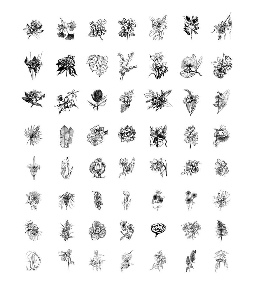 set van tropische planten en bloemen vector