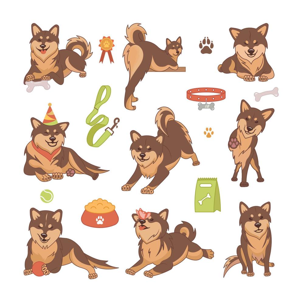 set shiba inu honden vector