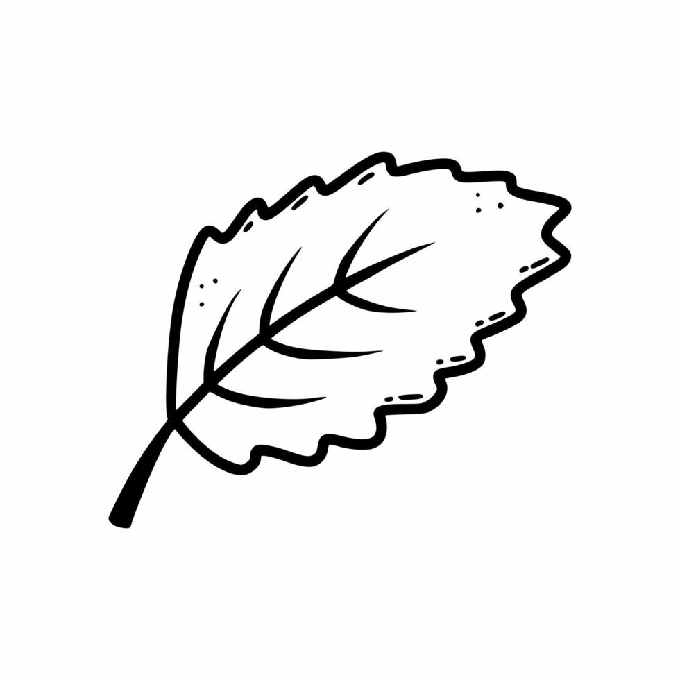 blad van boom. plant. vectorkrabbelillustratie. herfst tekening. ansichtkaart decorelement. vector