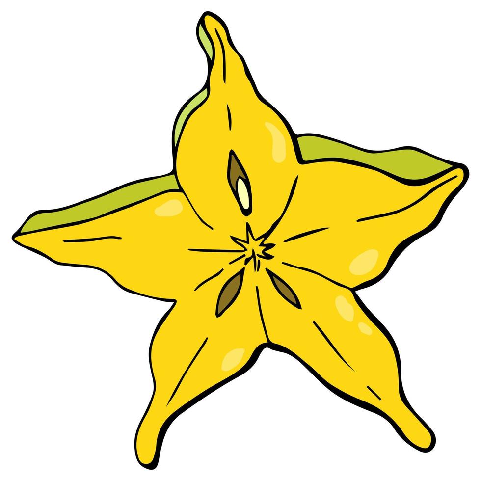 carambola schijfje. witte achtergrond, isoleren. vectorillustratie. biologische voeding, gezonde voeding, vegetarisch product. vector