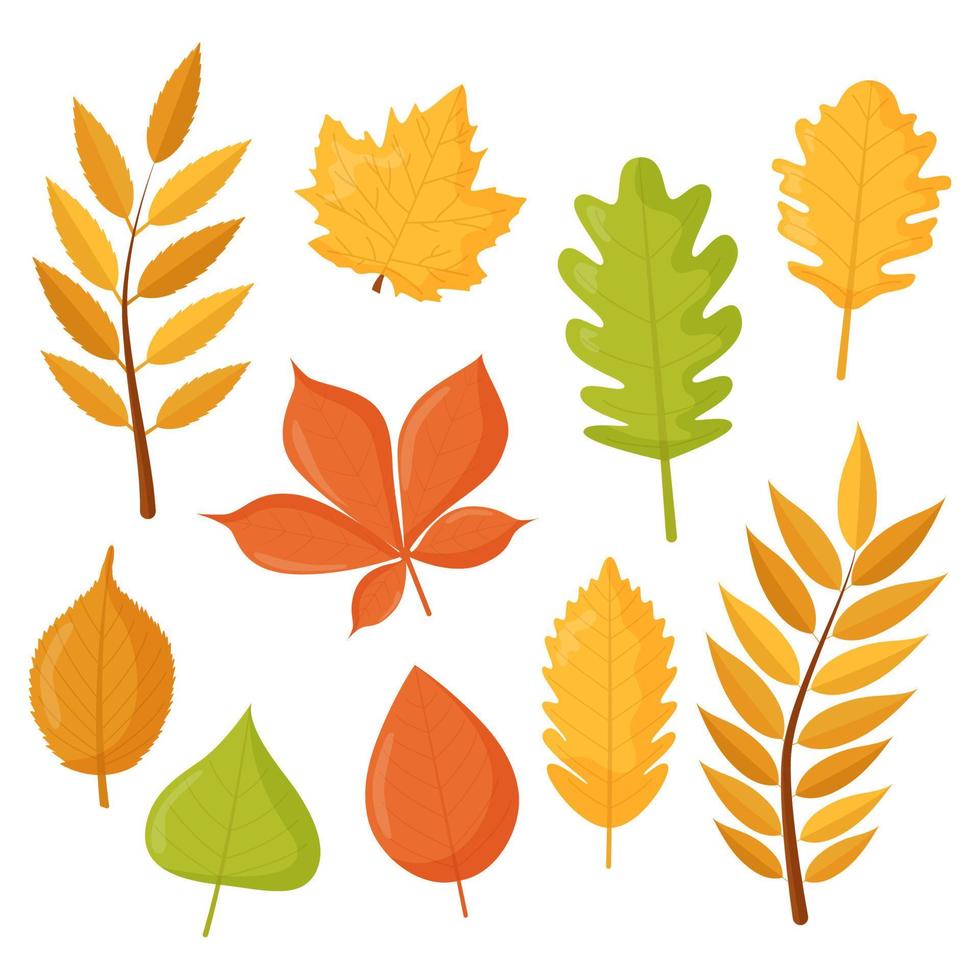 herfstbladeren set, geïsoleerd op een witte achtergrond. platte vectorillustratie. ontwerp voor stickers, logo, web en mobiele app. vector