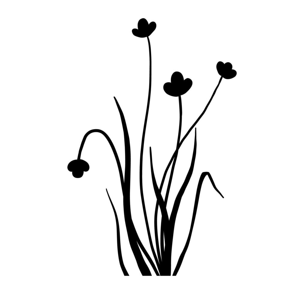 silhouet wilde bloemen gras. vector zwarte hand getekende illustratie met zomerbloemen. schaduw van kruid en plant. natuur veld geïsoleerd op witte achtergrond