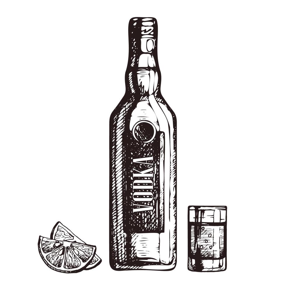 handgetekende fles wodka, borrelglas en schijfjes citroen, schetsstijl vectorillustratie vector