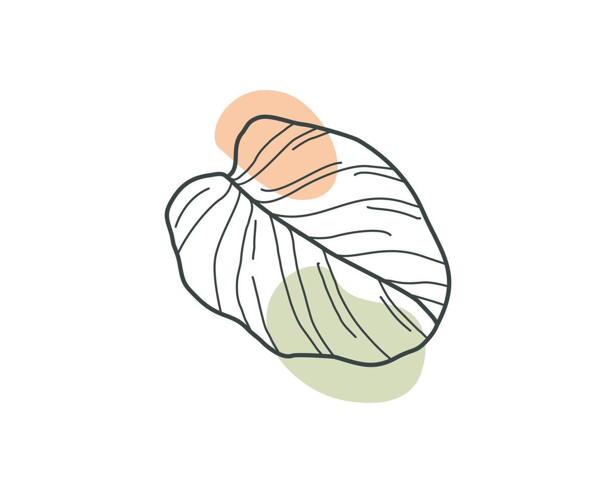 esthetisch calathea blad. plant vector ontwerp