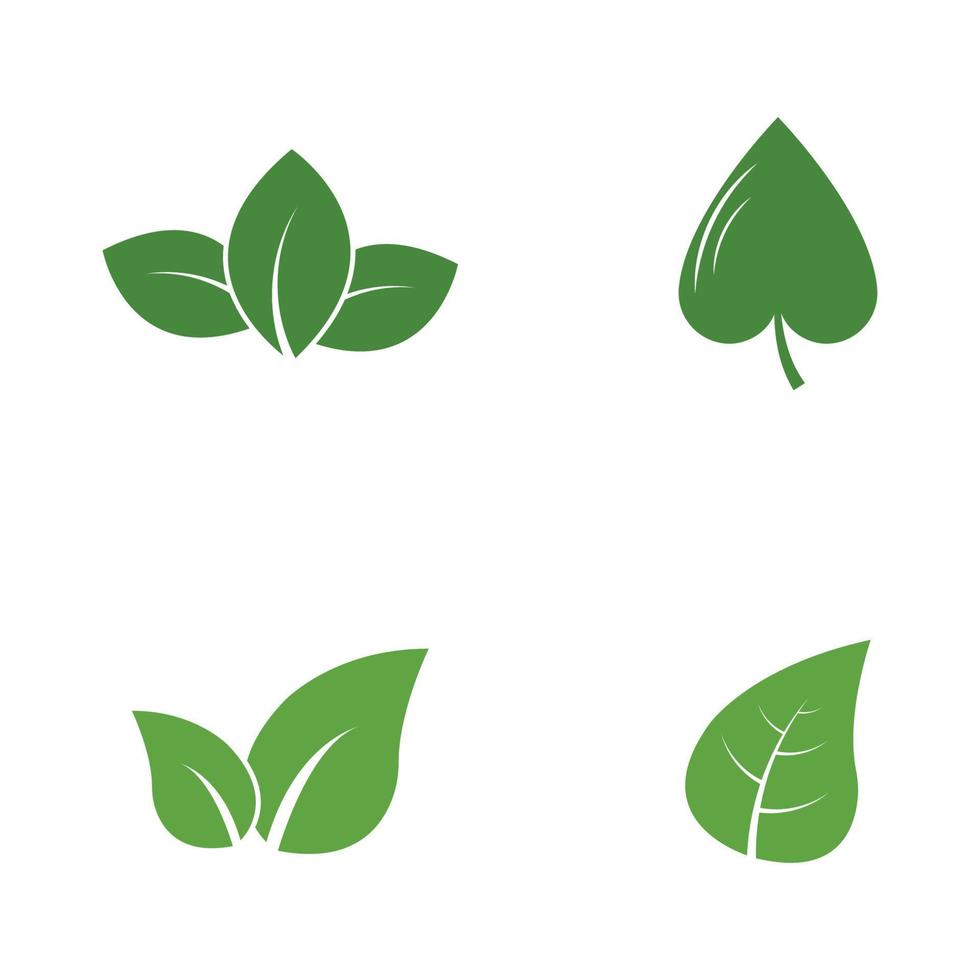 logo's van groene boom blad ecologie natuur element vector