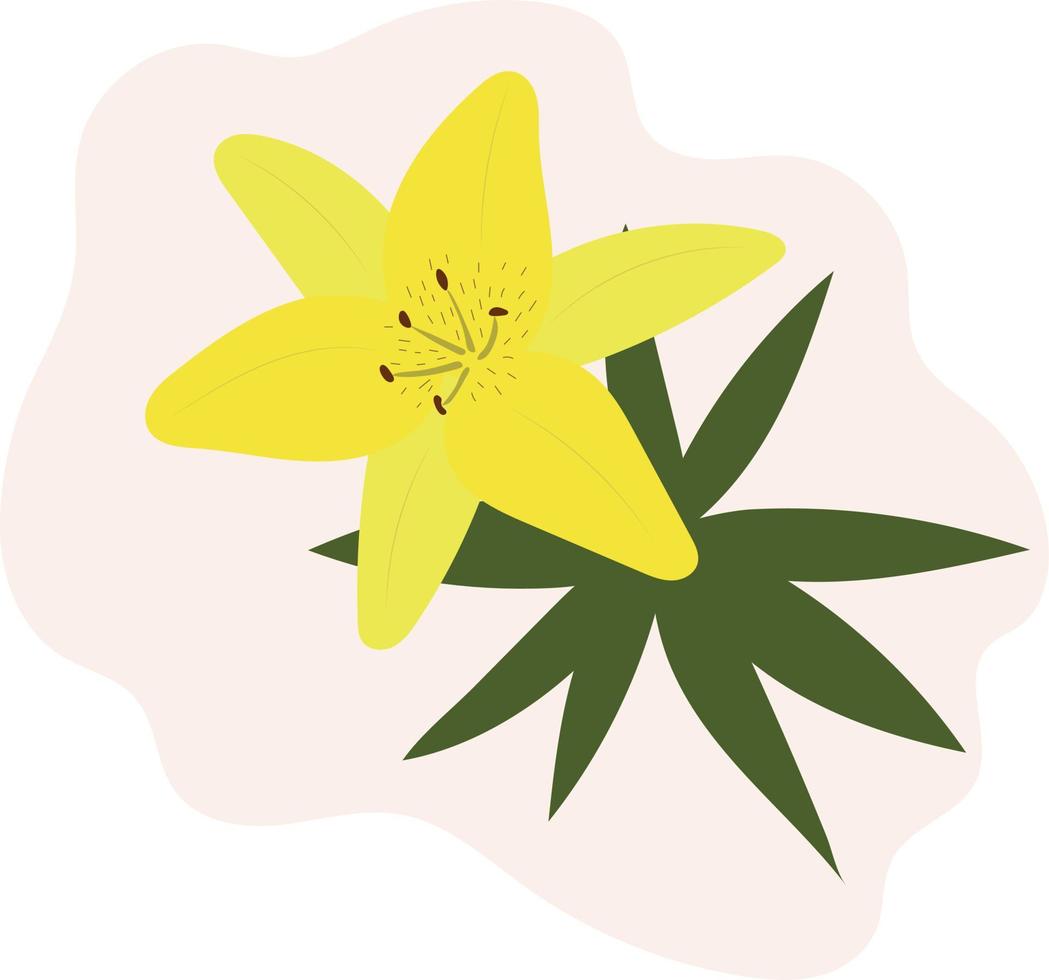 gele lelie met groene bladeren. mooie bloem. voor ansichtkaarten. vlakke stijl. vector. vector