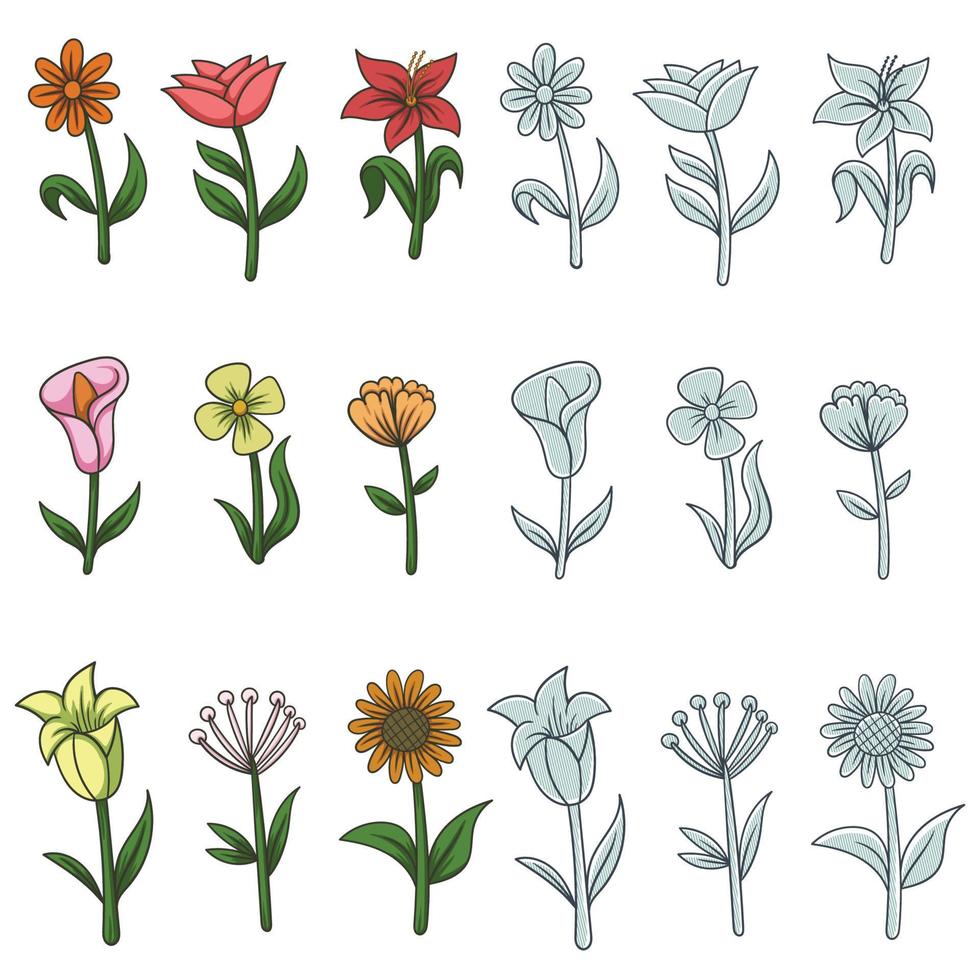 bloem natuur elementen decoratie vector illustratie