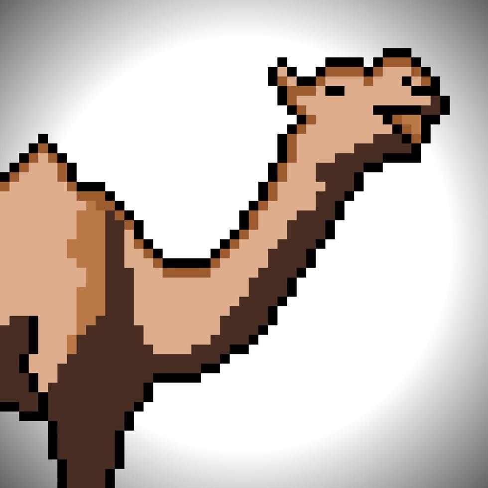 kameel met pixel kunst. vector illustratie.