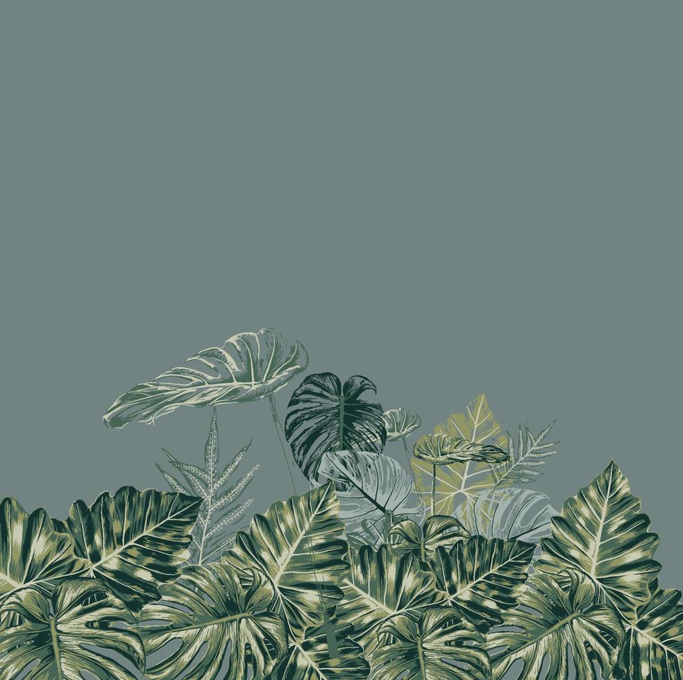 hand- trek waterverf monstera groen blad vector