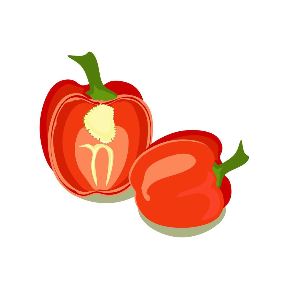 Bulgaars peper geïsoleerd Aan een wit achtergrond, vector clip art illustratie van zoet peper, gezond voedsel, vitamines, stickers, afdrukken, logo