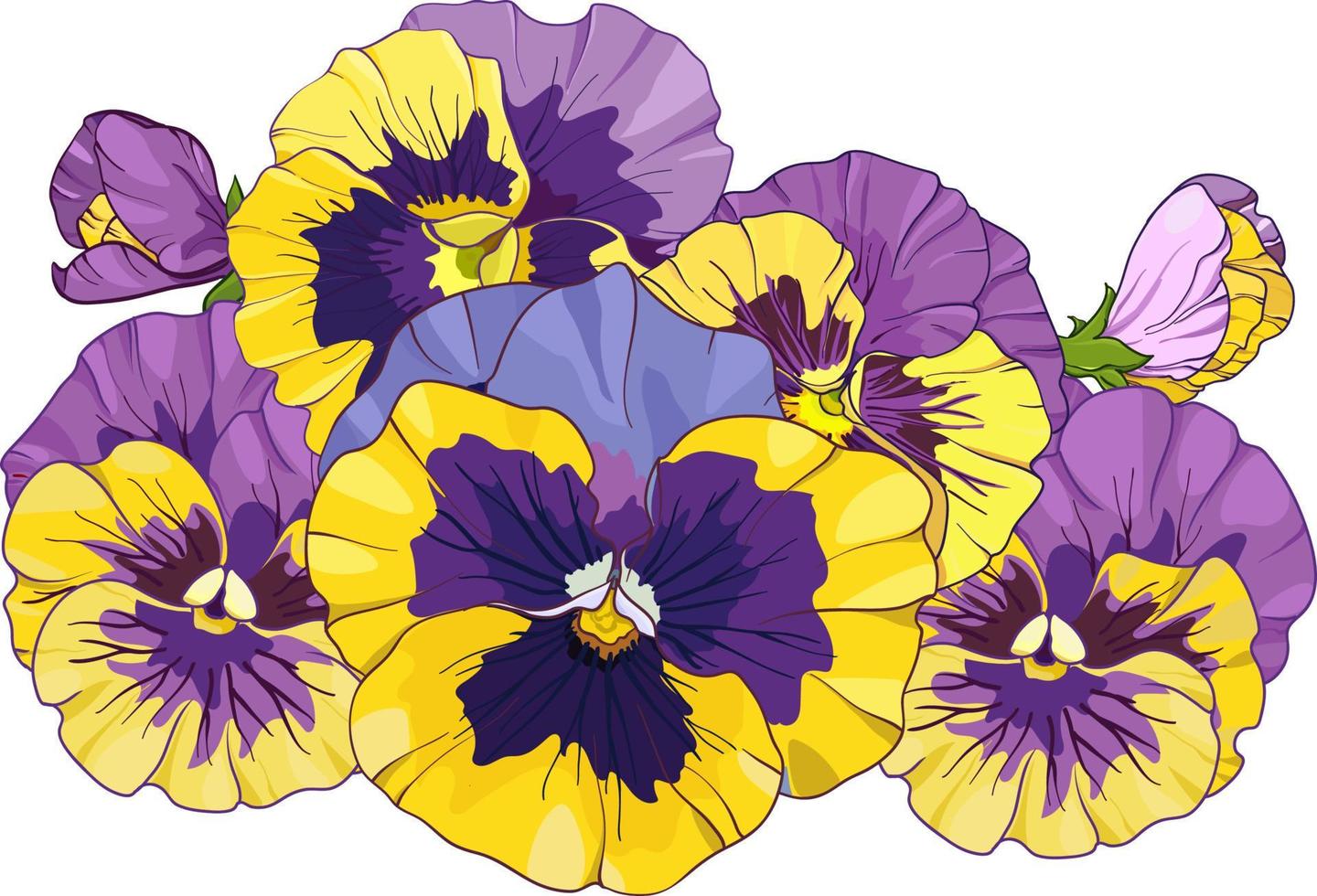 bloem arrangement van viooltjes geïsoleerd Aan een wit achtergrond. boeketten altviool, geel en Purper bloemen groen bladeren. vector illustratie