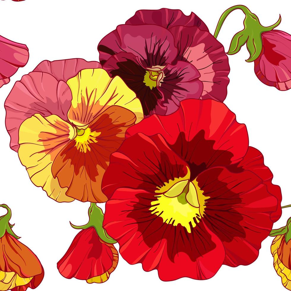 helder rood en oranje bloemen van viooltje . naadloos vector patroon. hand- tekening vector illustratie.