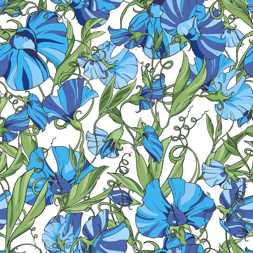 blauw bloemen zoet erwt Aan een wit achtergrond, bloemen naadloos patroon. patroon voor kleding stof, omhulsel papier, web Pagina's, uitnodigingen, groet kaarten vector