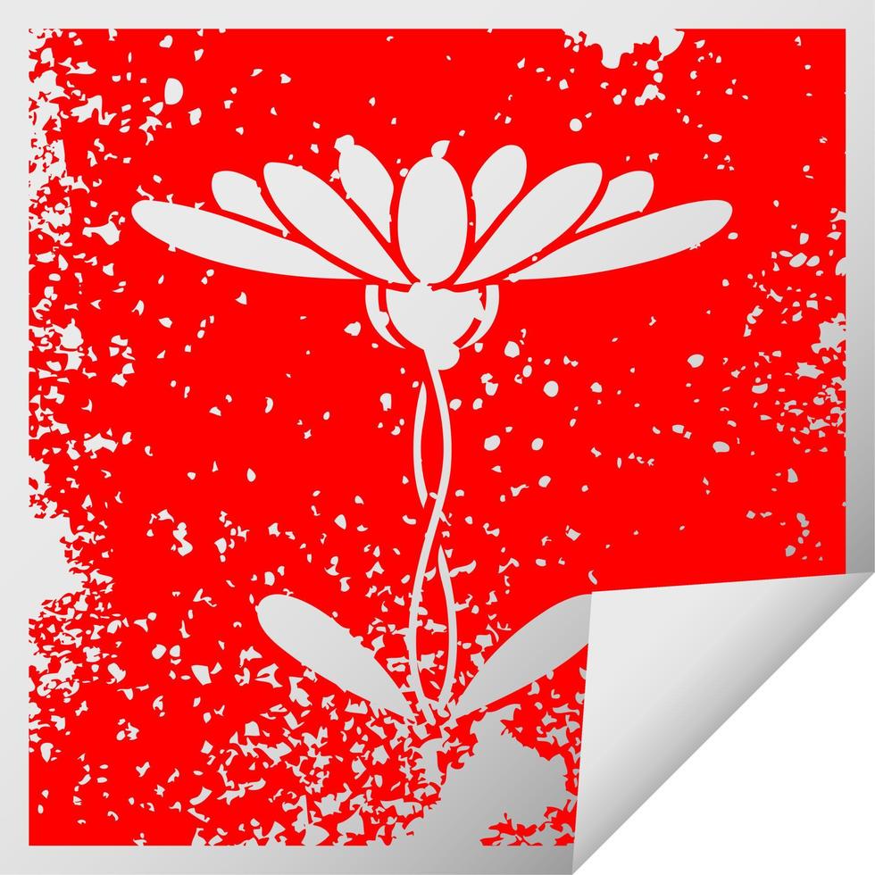verontruste vierkante peeling sticker symbool bloem vector
