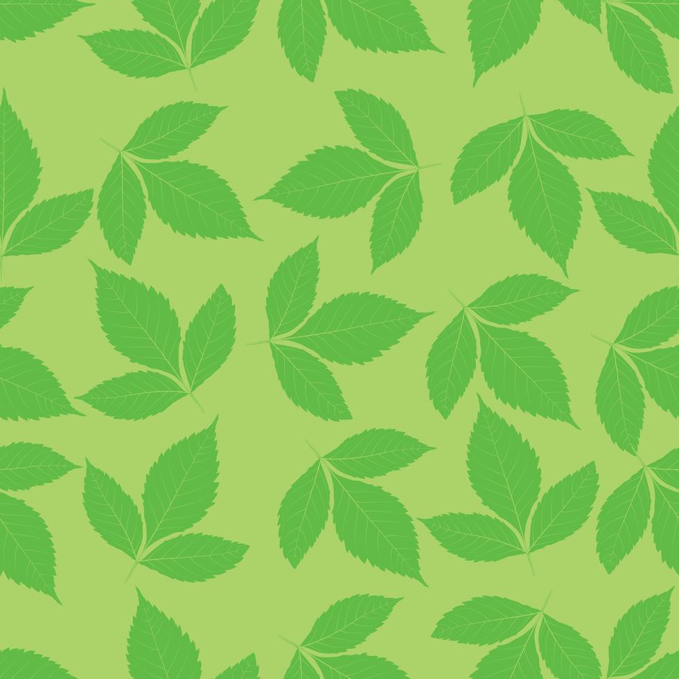 naadloos met groen berk bladeren vector