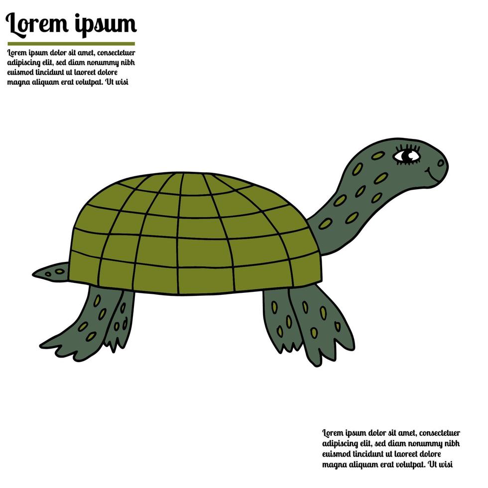 cartoon doodle lineaire schildpad geïsoleerd op een witte achtergrond. vector