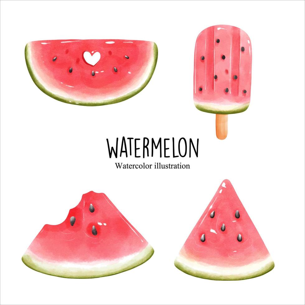 aquarel watermeloen, fruit vectorillustratie vector