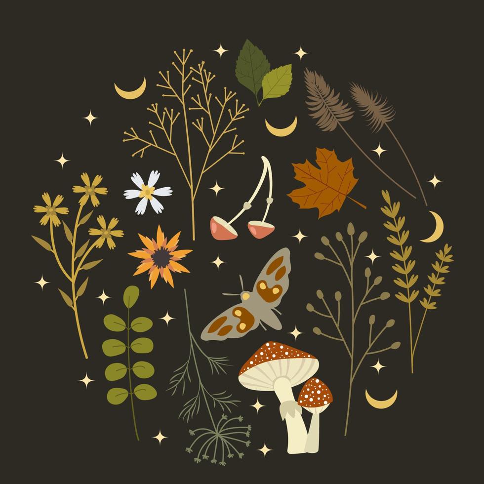 botanisch samenstelling met herfst bloemen, bladeren, paddestoelen, maan en een vlinder geplaatst in cirkel Aan een donker achtergrond. sjabloon voor uitnodiging, kaart, afdrukken voor kleren. vector illustratie.