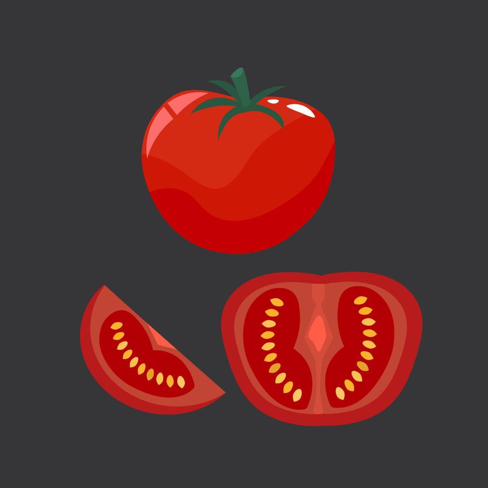 tomaten set, geheel en gesneden. vlak tekenfilm vector illustratie.