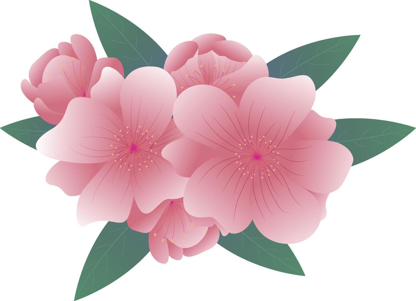 camelia bloem vector pro vector