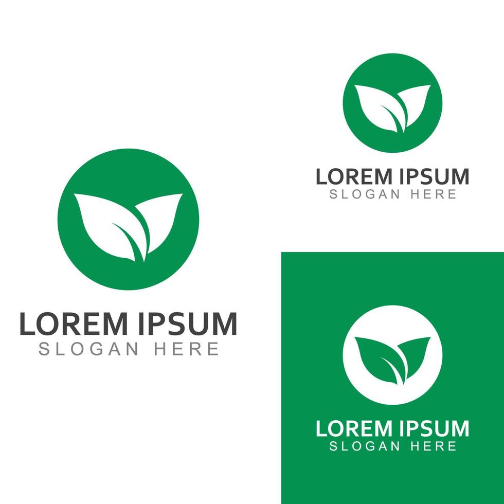 groen blad logo. tuin, planten en natuur vector ontwerp. concept illustratie vector sjabloon