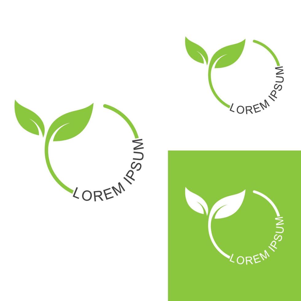 groen blad logo. tuin, planten en natuur vector ontwerp. concept illustratie vector sjabloon