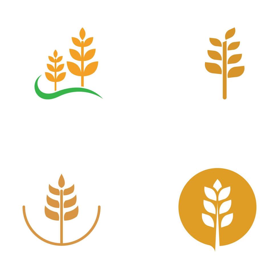 tarwe- of graanlogo, tarweveld en tarweboerderijlogo. Met eenvoudige en eenvoudige bewerkingsillustraties. vector