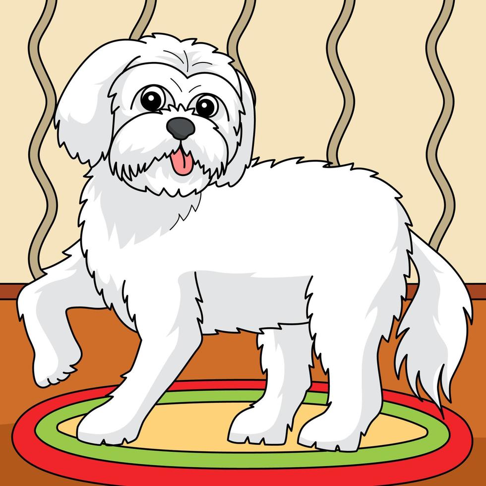 Maltees hond gekleurde tekenfilm illustratie vector
