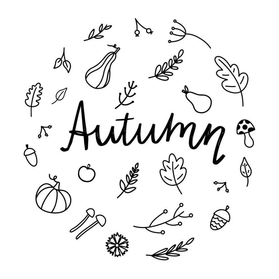 belettering getrokken door hand- met herfst elementen. vector