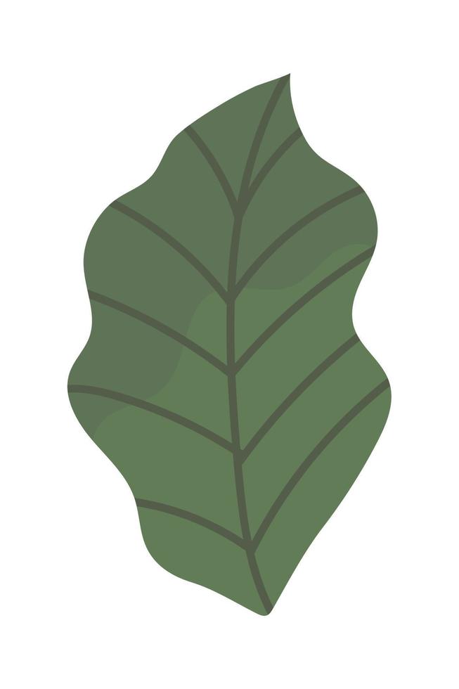 blad botanisch icoon vector