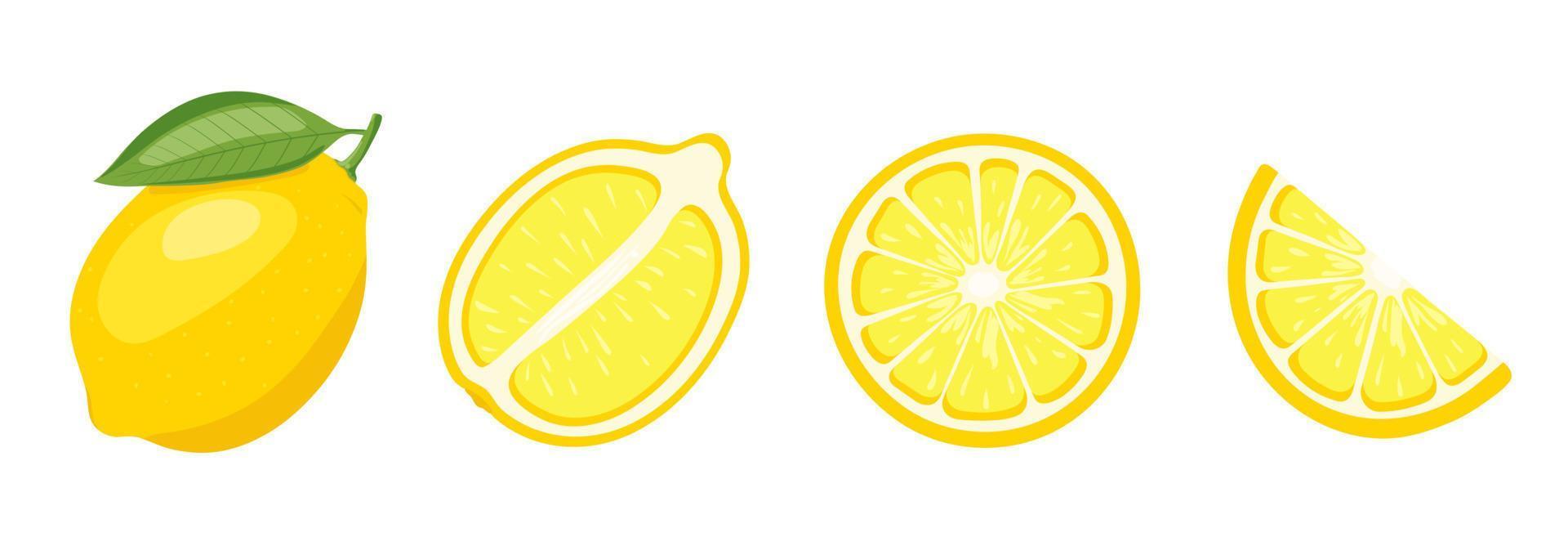 vector reeks van citroen, vector illustratie Aan wit horizontaal achtergrond