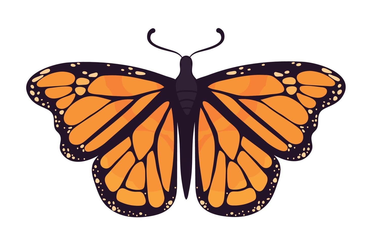 monarch vlinder kever vector