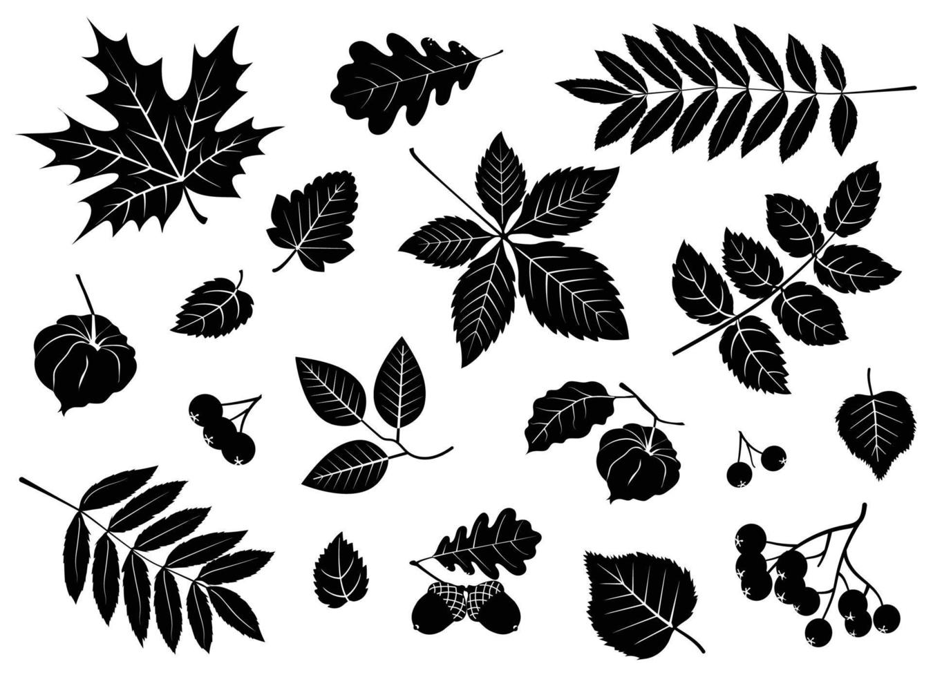 vector reeks van bladeren, bessen, eikels, physalis