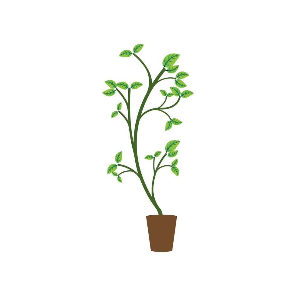 sierplant icoon vector