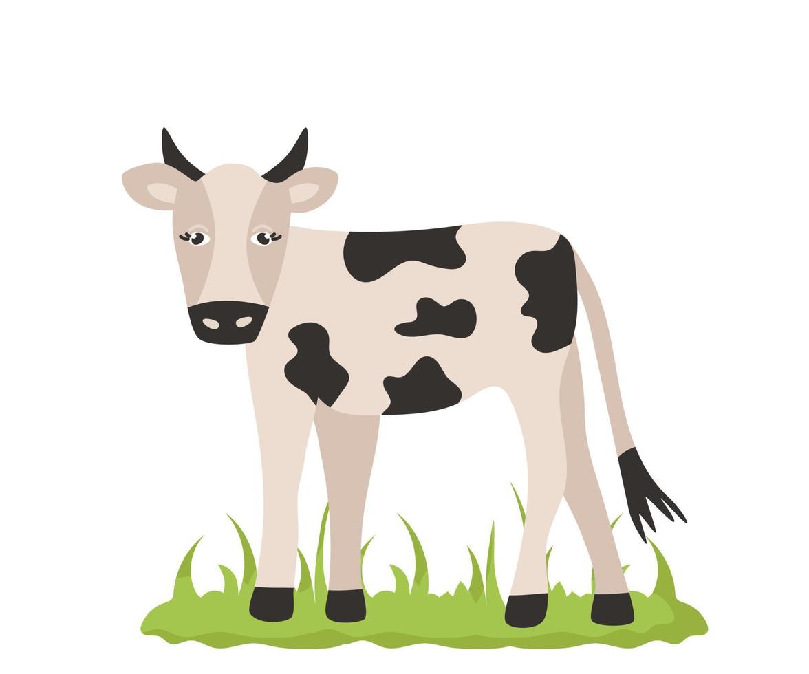 schattig koe vee met zwart vlekken Aan de huid en hoorns in tekenfilm stijl. vector dier karakter van een boerderij geïsoleerd Aan een wit achtergrond.