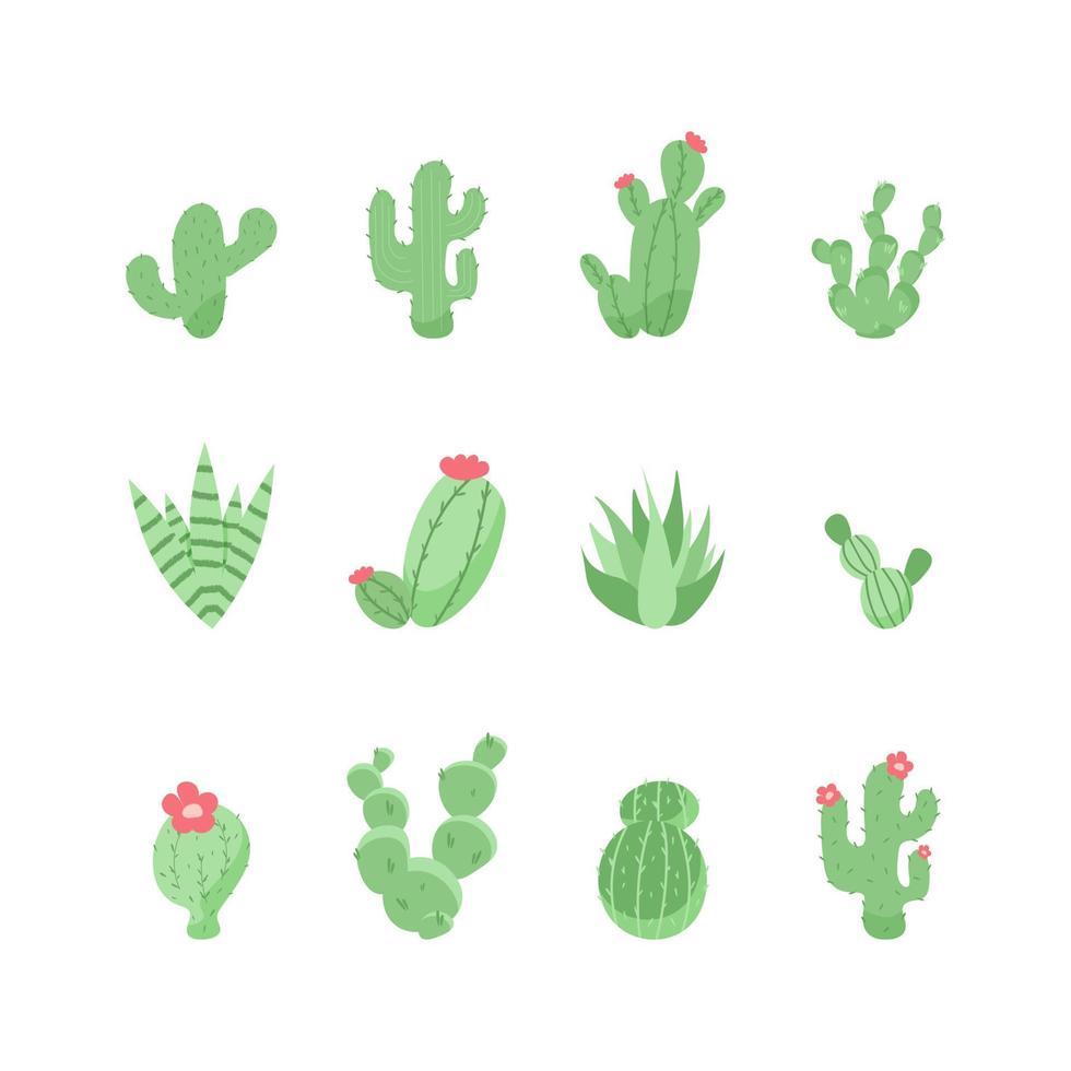 schattig cactus en vetplanten. vector illustratie.