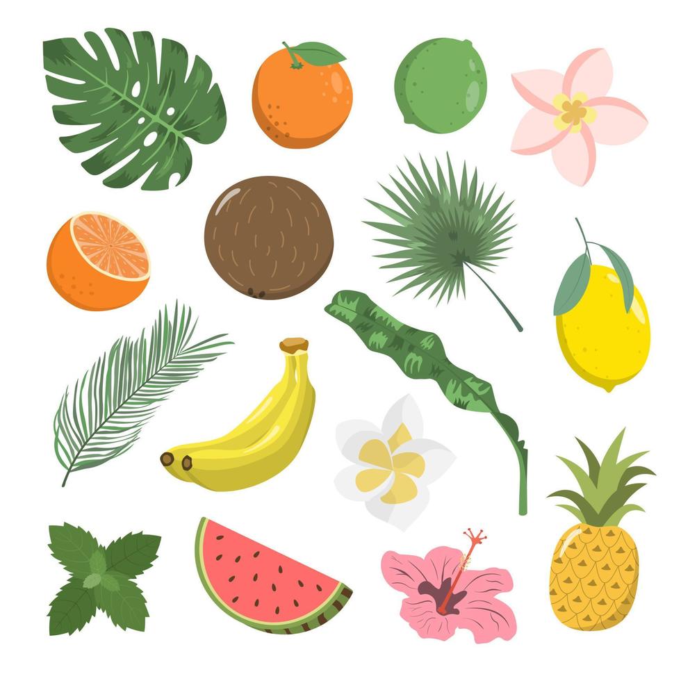 tropisch verzameling voor een zomer partij met palm bladeren, exotisch fruit, en bloemen. vector illustratie, geïsoleerd Aan wit achtergrond.