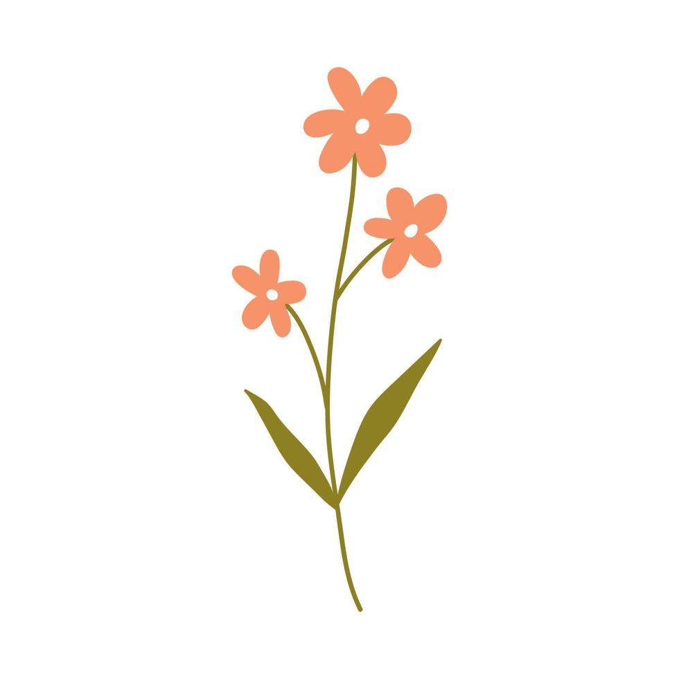 schattig roze bloemen met bladeren geïsoleerd Aan wit achtergrond. vector illustratie in hand getekend vlak stijl. perfect voor kaarten, logo, decoraties, voorjaar en zomer ontwerpen. botanisch clip art.